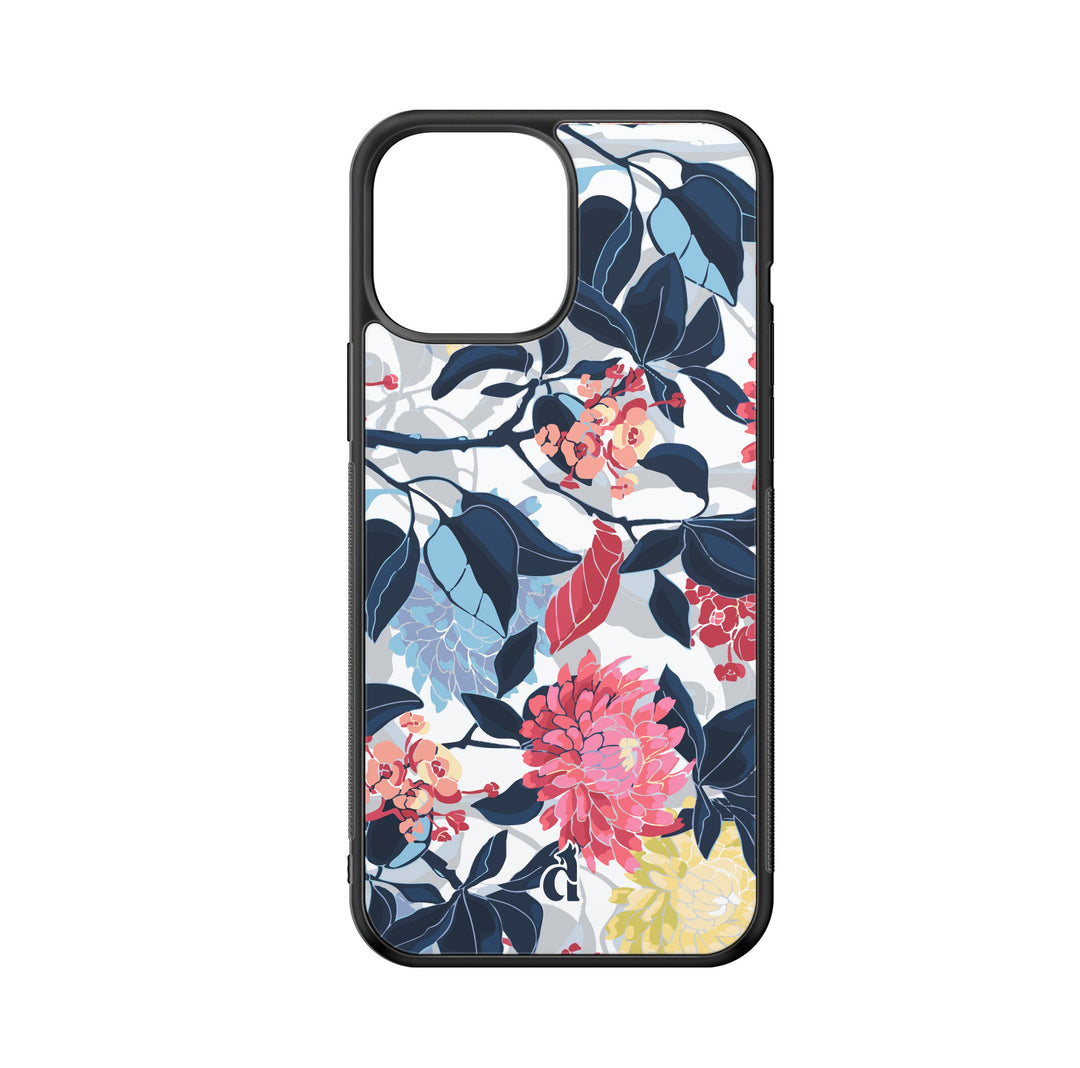 Nos coques